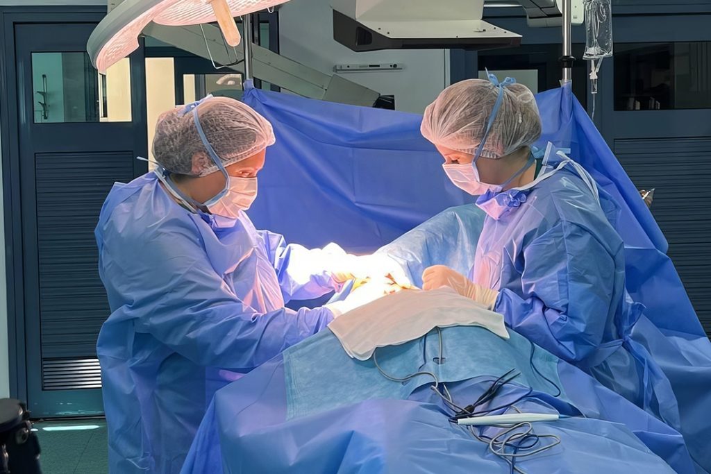 Why Sechenov University Is Considered the Leading Medical University in Russia